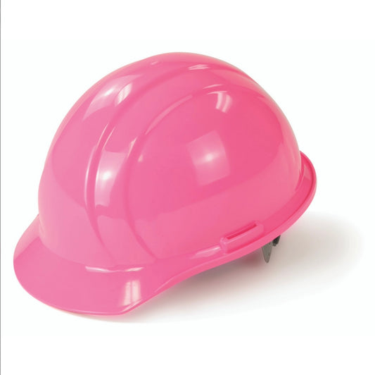 Delta Plus Hard Hat